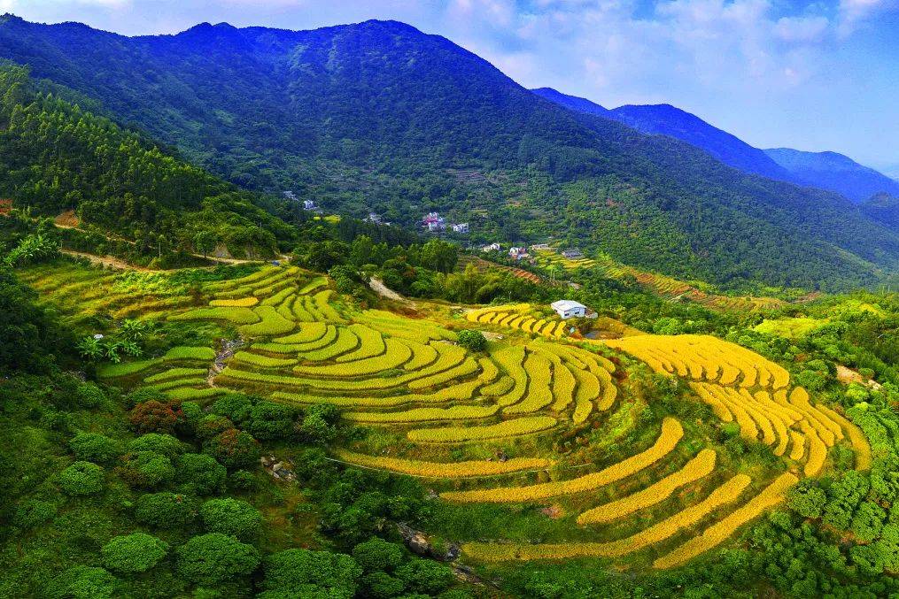 游区强设施兴产业绘就乡村振兴新画卷k8凯发【乡村振兴】惠东九龙峰旅